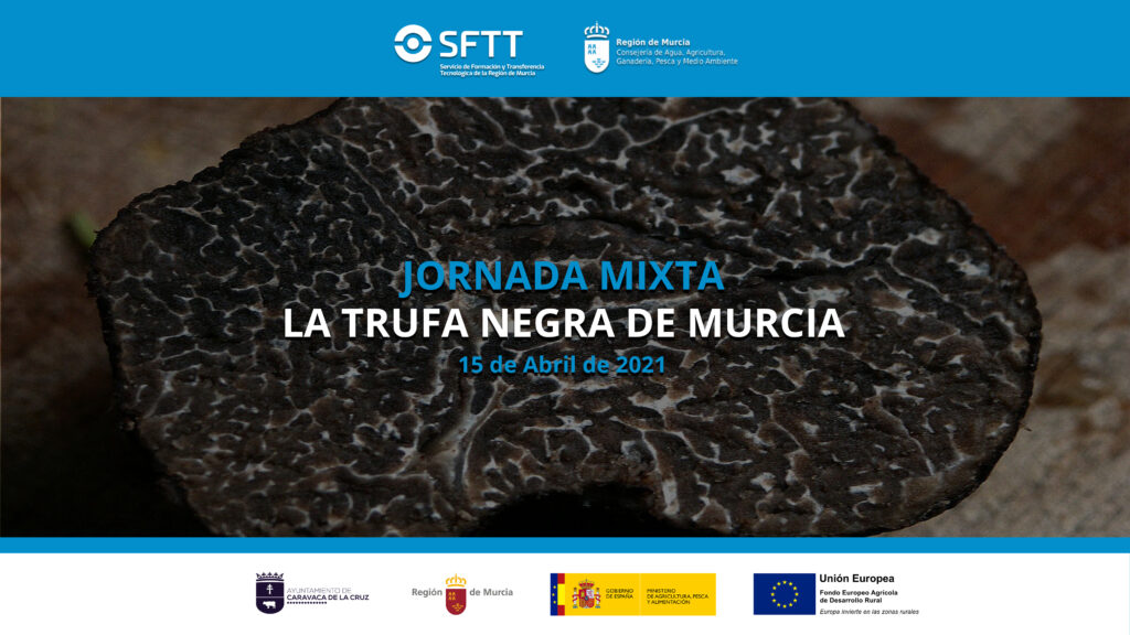 evento-trufa-caravaca