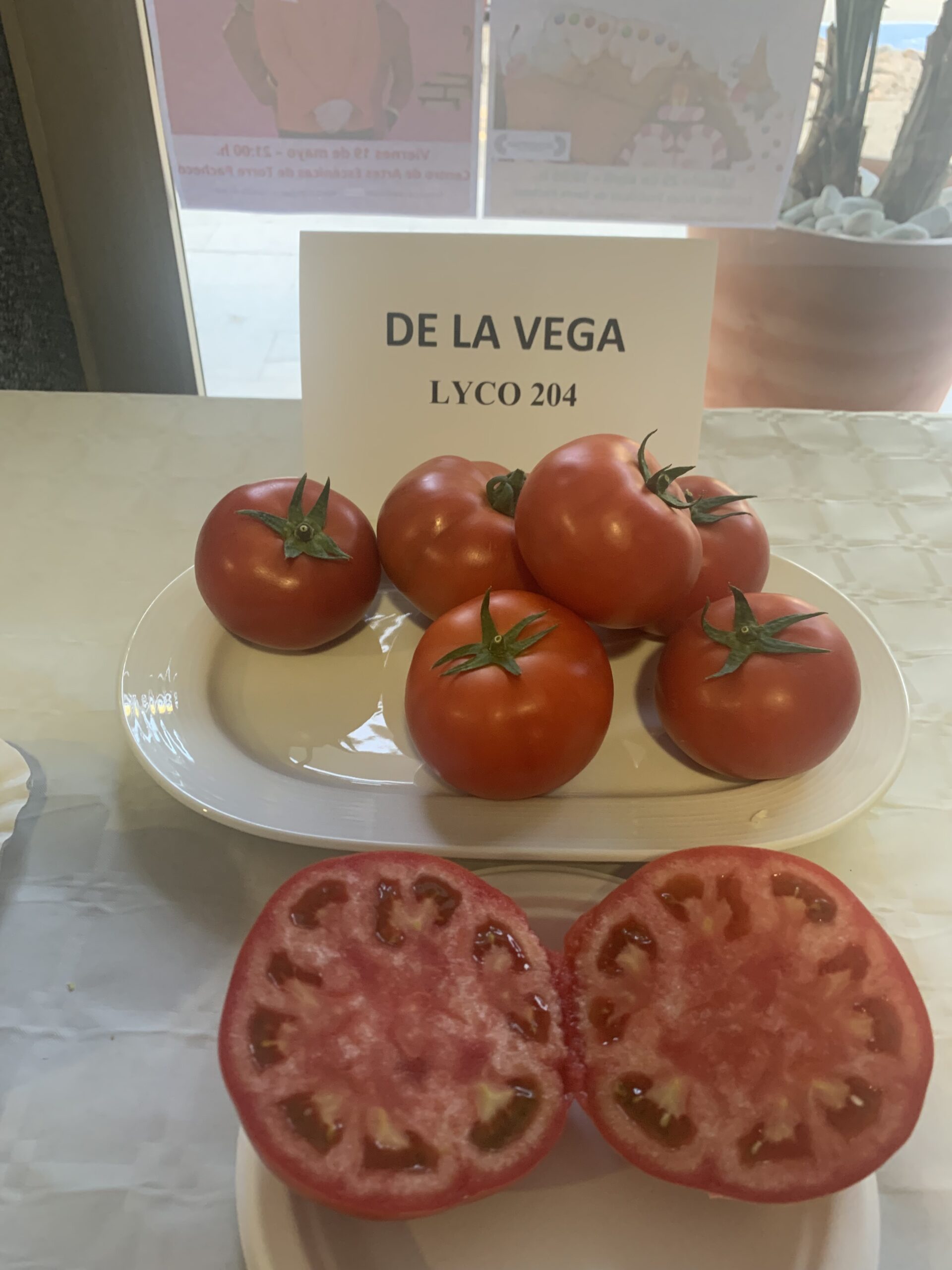 Jornada sobre las variedades tradicionales de tomate en el CIFEA de Torre Pacheco